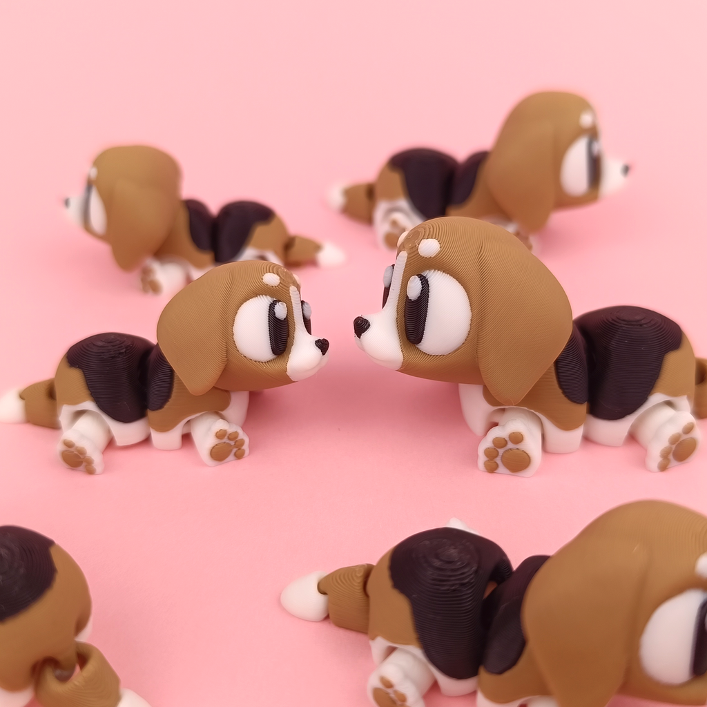 20 Random Animals – of all category / Best deal