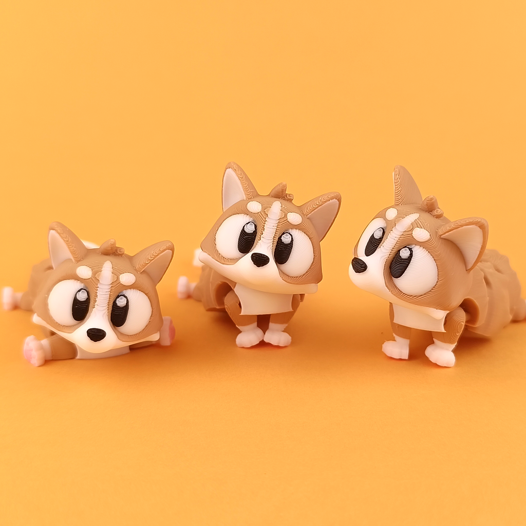 20 Random Animals – of all category / Best deal