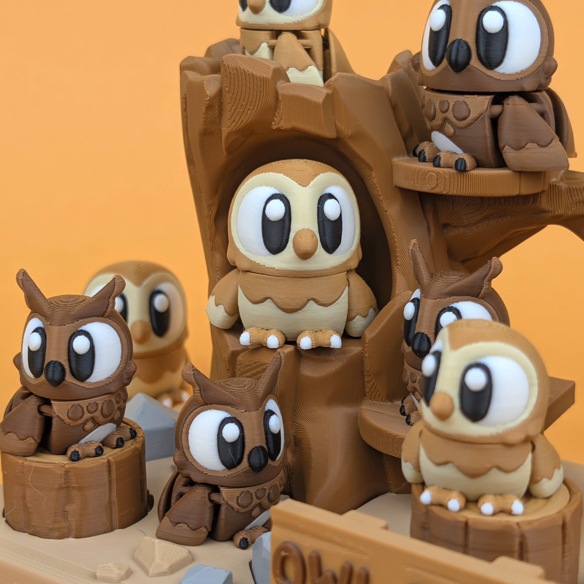 Cute Owl